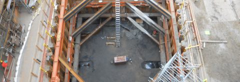 REPUTABLE CONSULTING FIRM